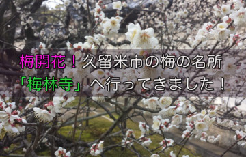 梅開花！久留米市の梅の名所「梅林寺」へ行ってきました！