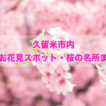 福岡県久留米市内 桜のお花見スポット・桜の名所まとめ