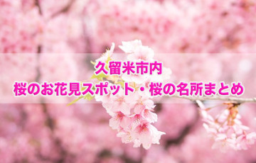 福岡県久留米市内 桜のお花見スポット・桜の名所まとめ