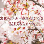 石橋文化センター春の花まつり2016『SAKURAまつり』探検やコンサート開催！