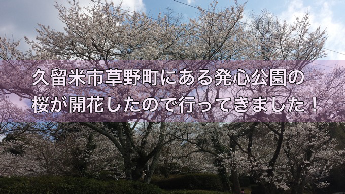 久留米市草野町にある発心公園の桜が開花したので行ってきました！