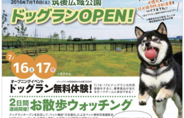 筑後市 筑後広域公園に九州最大級「ドックラン」がオープン！7月16～18日（月）の三日間無料に！