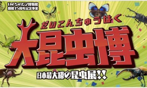 日本最大級の昆虫展が福岡県に上陸！「大昆虫博」ナイトミュージアムも開催！