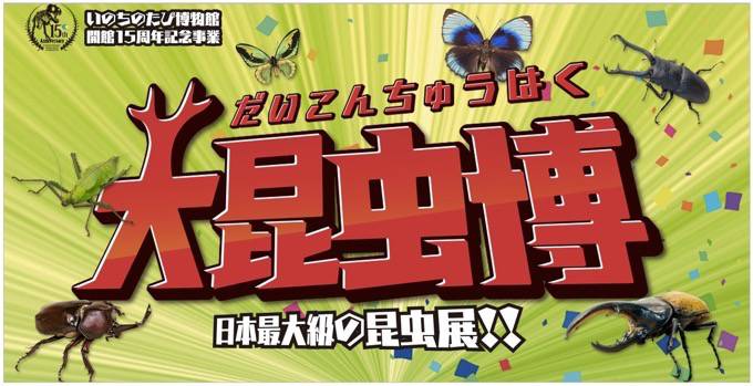 日本最大級の昆虫展が福岡県に上陸！「大昆虫博」ナイトミュージアムも開催！