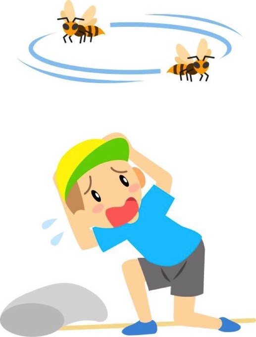 久留米市 浦山公園で保育園児ら14人 スズメバチに刺される