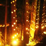 久留米市南薫天満宮 「南薫竹燈籠」約3,500本の竹灯篭が幻想的に！