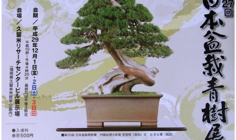 日本盆栽青樹展 日本の香り高い芸術「盆栽」の展示会