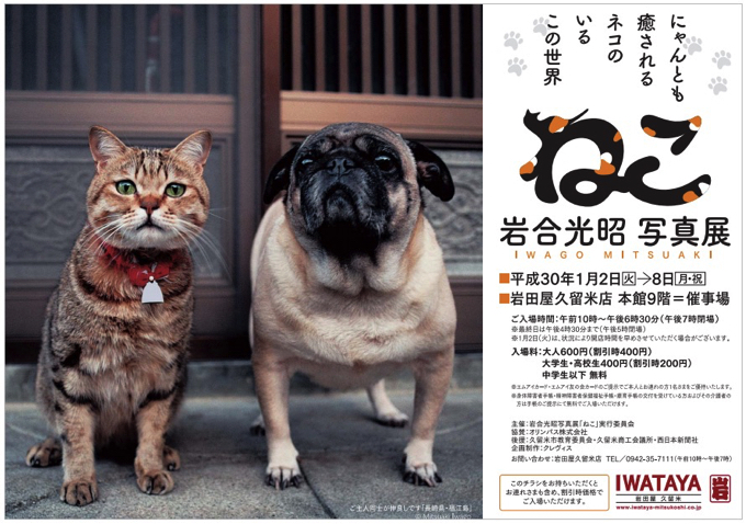 岩合光昭 写真展「ねこ」岩田屋久留米本店で開催！BS 世界のネコ歩き動物写真家