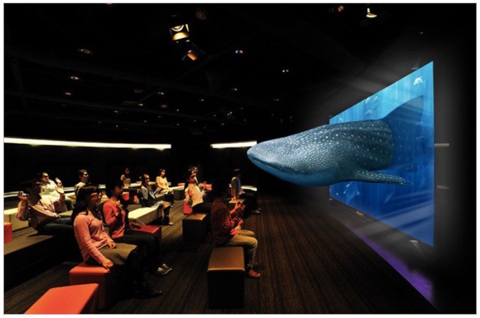 オキナワフェスティバル 3Dソニーアクアリウム～沖縄「美ら海」の世界～ 3D体験！
