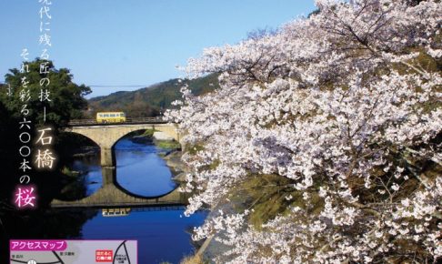 八女市「桜と石橋まつり」600本の桜と石橋の共演！イベントや夜桜ライトアップ