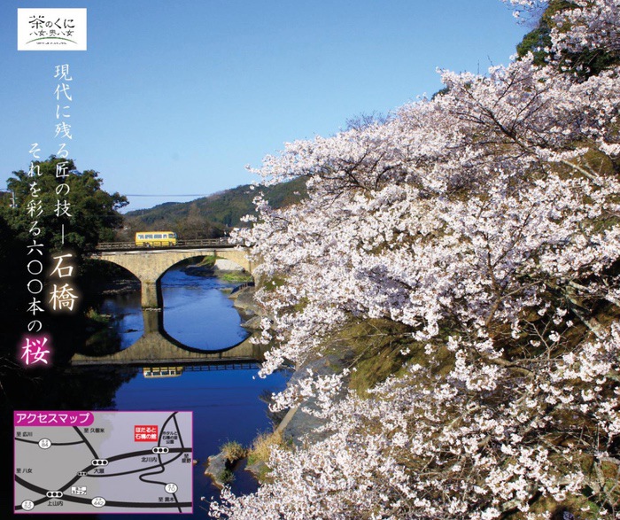 八女市「桜と石橋まつり」600本の桜と石橋の共演！イベントや夜桜ライトアップ