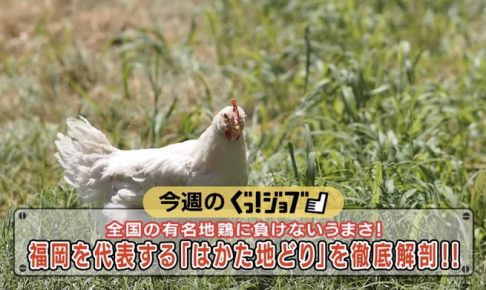 ぐっ!ジョブ～福岡を代表する「はかた地どり」久留米市の農事組合法人福栄組合を特集