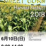 スウィートコーンHarvest Festa2018！おおはし歴史公園そばの畑で収穫！