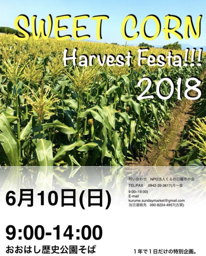 スウィートコーンHarvest Festa2018！おおはし歴史公園そばの畑で収穫！