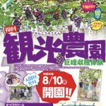観光ぶどう園「むつごろうファーム」巨峰狩り！8月10日オープン【柳川市】