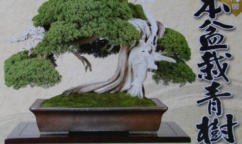 第28回 日本盆栽青樹展 全国各地から応募された約100点盆栽が展示