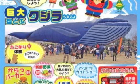 ふれあい農業公園 たこあげ大会 巨大空とぶクジラ 日本伝統凧展も