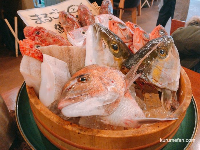 OSAKANA DINING OBANA 久留米で新鮮な美味しい魚が食べられるお店