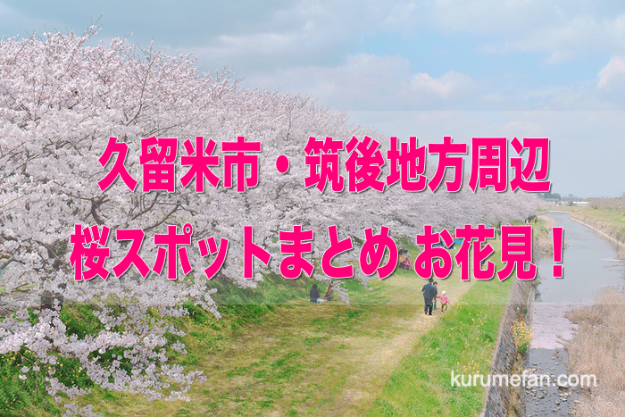 久留米市・筑後地方 桜スポットまとめ・お花見！