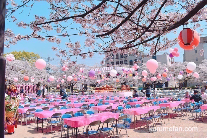 文化街さくら祭り 桜とコラボした美しい会場