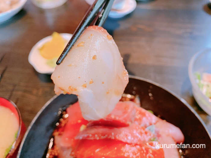 翠藍 海鮮丼 新鮮な刺身