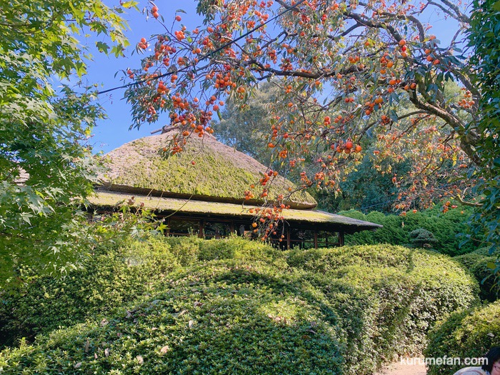 水縄茶寮（みのうさりょう）自然に囲まれた安土桃山時代の古民家