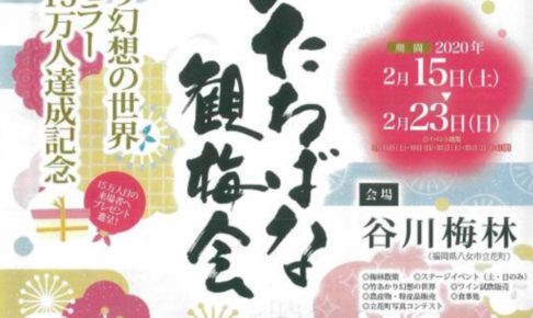 八女 夢たちばな観梅会2020 谷川梅林 九州有数の梅の産地