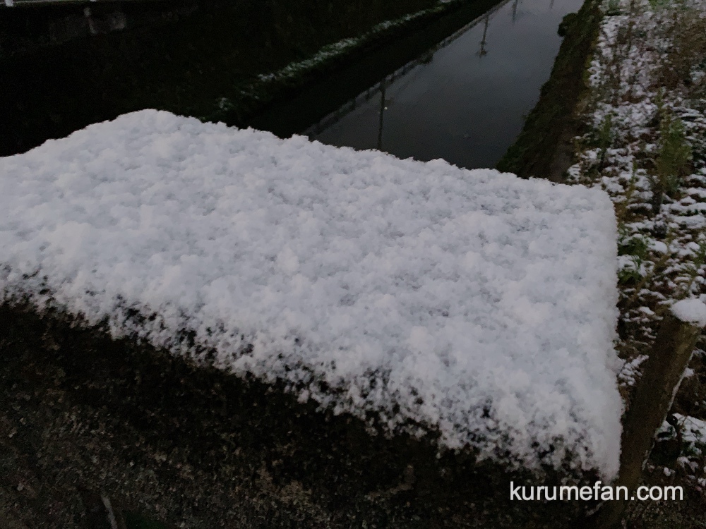 久留米市 雪がうっすら積もる 外はかなり寒い〜【2020年2月18日】