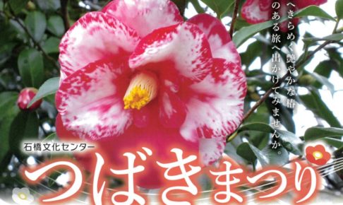 石橋文化センター つばきまつり2020 園内に咲く260種1,500本の椿