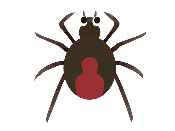 久留米市野伏間1丁目でセアカゴケグモが10匹発見される 防除の協力を呼びかけ