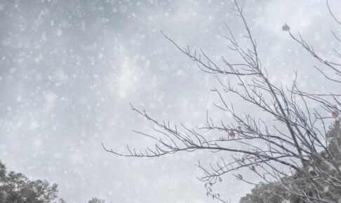 久留米市に大雪注意報、風雪・雷注意報 朝から雪がちらつく【2月17日】