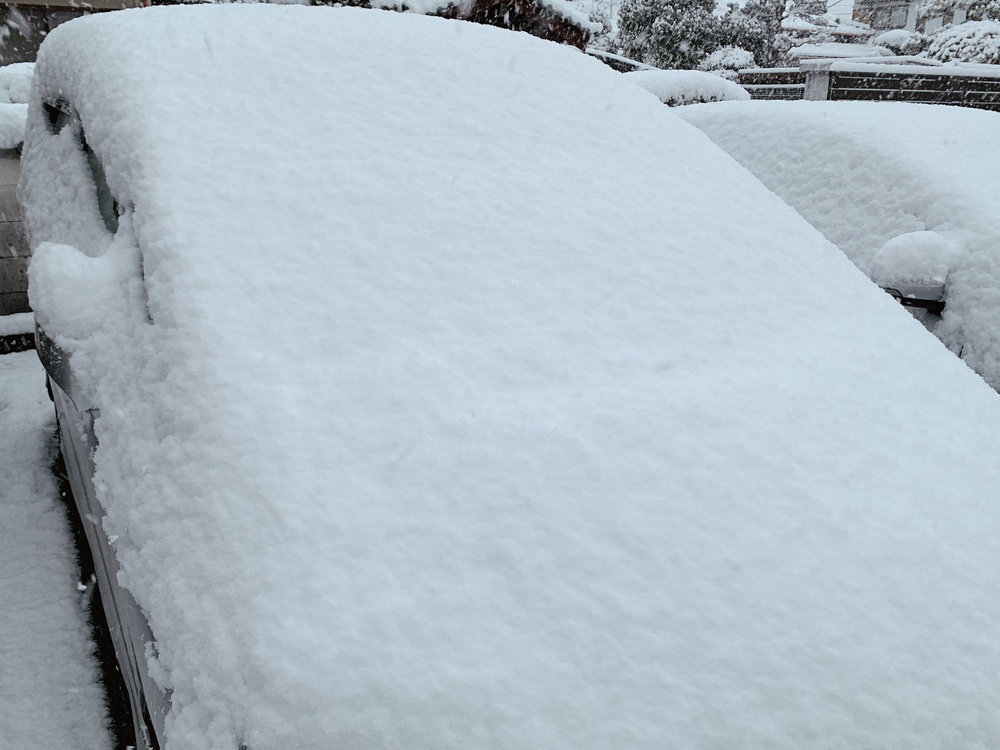 久留米市 雪が積もる 一帯、雪景色（2021年2月18日）