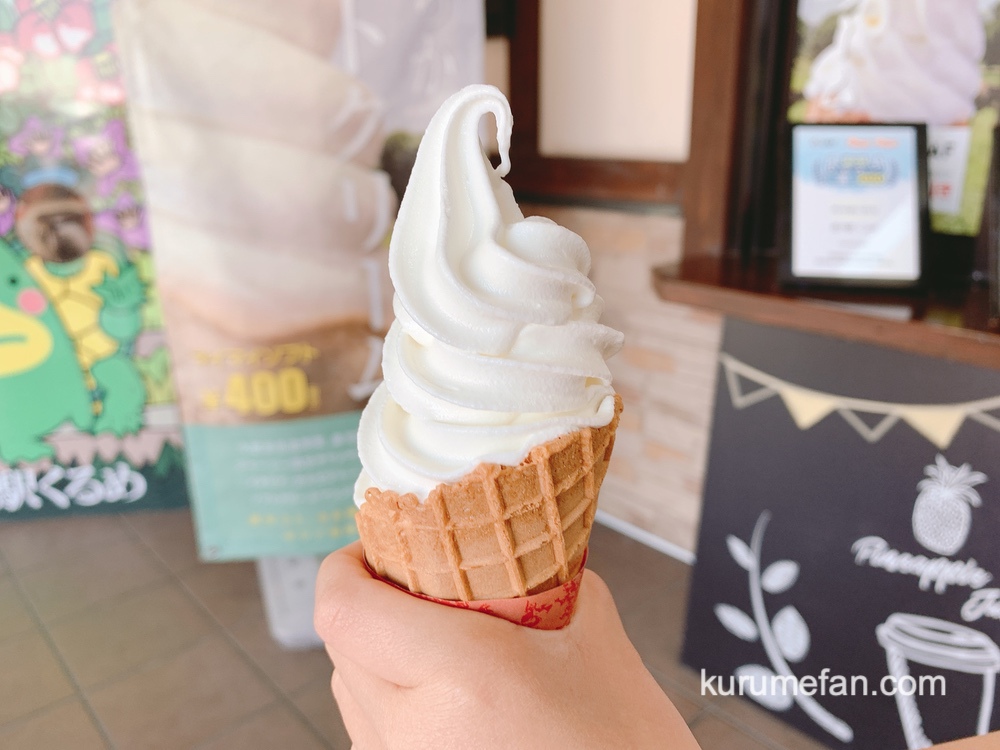 ゆたぁ～っとカフェ・マイマイ お店人気No.1のジャージー牛乳ソフトクリーム