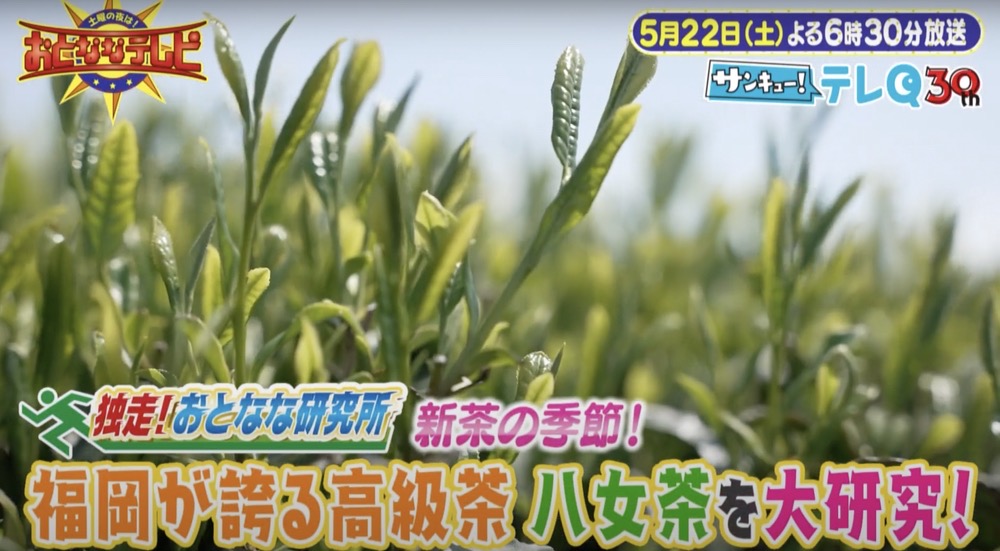 おとななテレビ『相田翔子と朝倉市グルメ&日本一の八女茶を大研究』