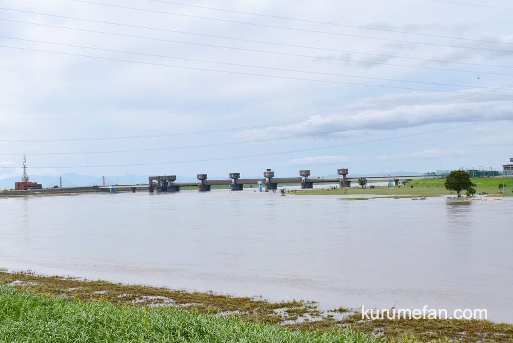 久留米市 筑後川 現在（8月15日）状況 少し水がひいています【豆津橋〜筑後大堰】