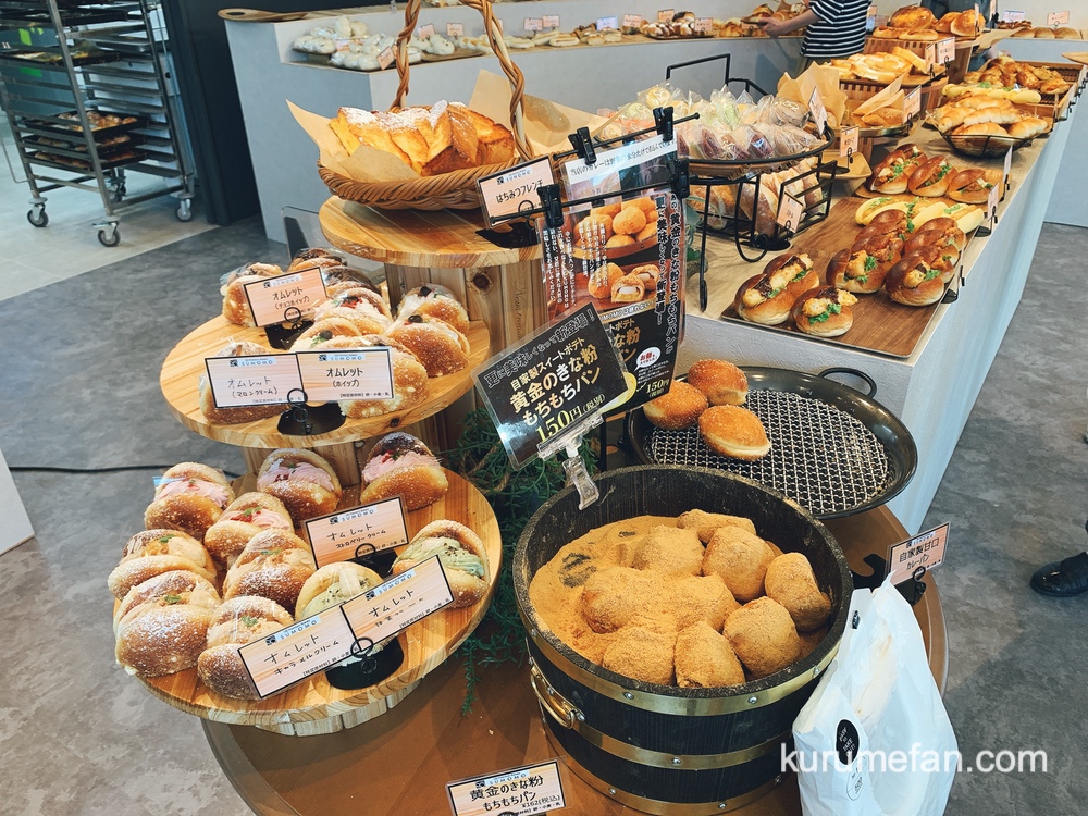 SUMOMO（スモモ）久留米店 おしゃれな店内 パンの種類が豊富