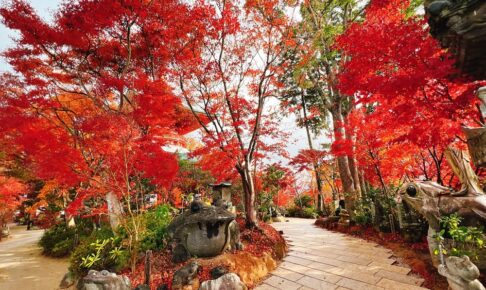 小郡市 如意輪寺（かえる寺）の紅葉が見頃！美しい紅葉とシャボン玉【2021年】
