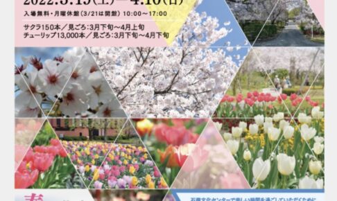 石橋文化センター「SAKURA・チューリップまつり」約150本の桜【2022年】