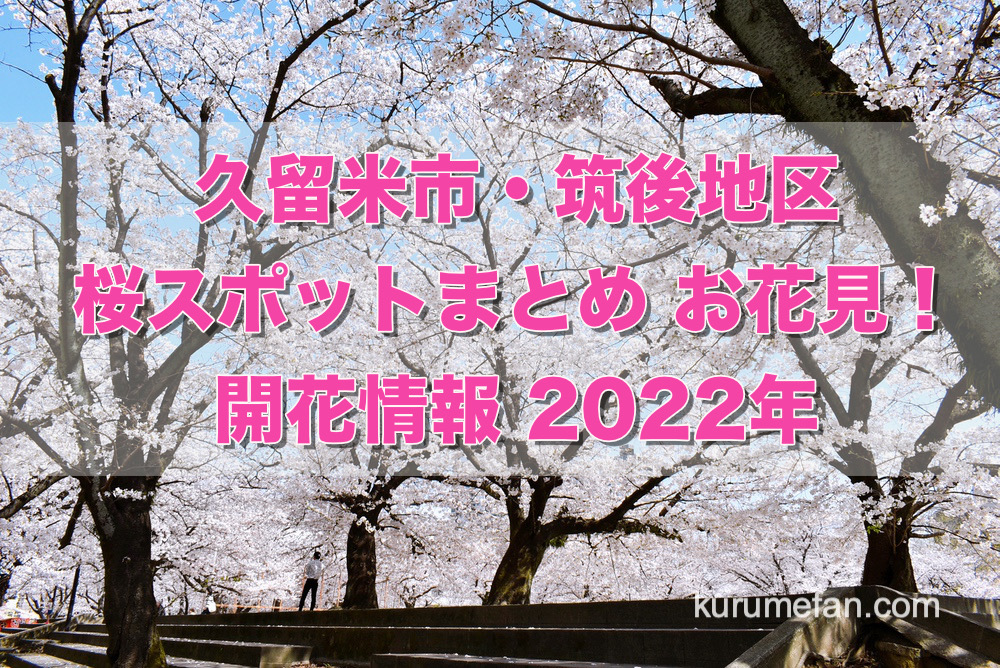 てる 桜 咲い 今が見頃！『六本木ヒルズ』の夜桜！開催中の『桜のライトアップ 2022』見に行ってみた。