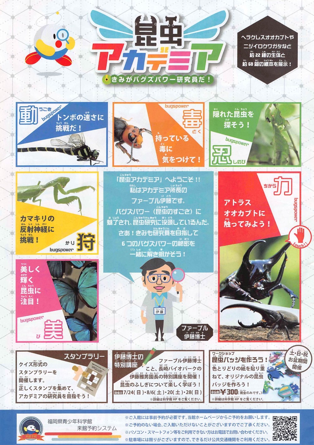 福岡県青少年科学館「夏の特別展 昆虫アカデミア」7月9月から開催！