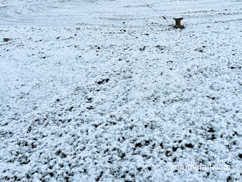 久留米市 今日、うっすらと雪が積もる【2022年12月18日】