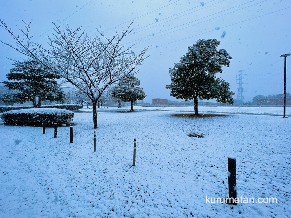 久留米市 今日、うっすらと雪が積もる 大雪注意報【12月18日】