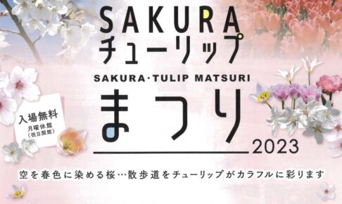 石橋文化センター春の花まつり2023「SAKURA・チューリップまつり」夜桜ライトアップ