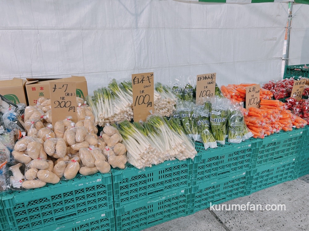 久留米市中央卸売市場「市場まつり」に訪れた様子 新鮮な野菜