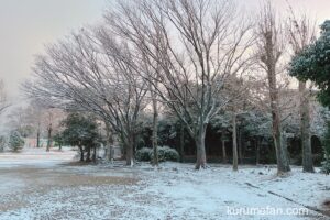 久留米市 今日、うっすら雪が積もる 路面凍結に注意【2023年12月22日】