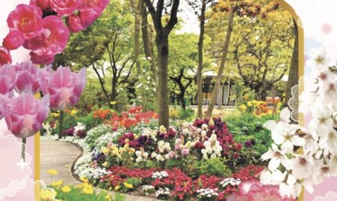石橋文化センター春の花まつり2024 マルシェや夜桜ライトアップ【久留米市】
