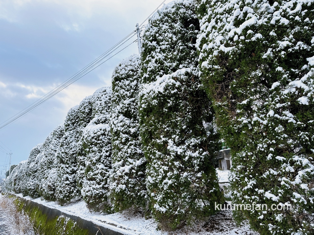 福岡県久留米市 積雪（2024年1月24日）