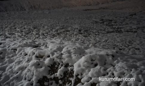久留米市 雪が積もる 九州道が通行止めなど交通機関に影響も 路面凍結注意【1月24日】