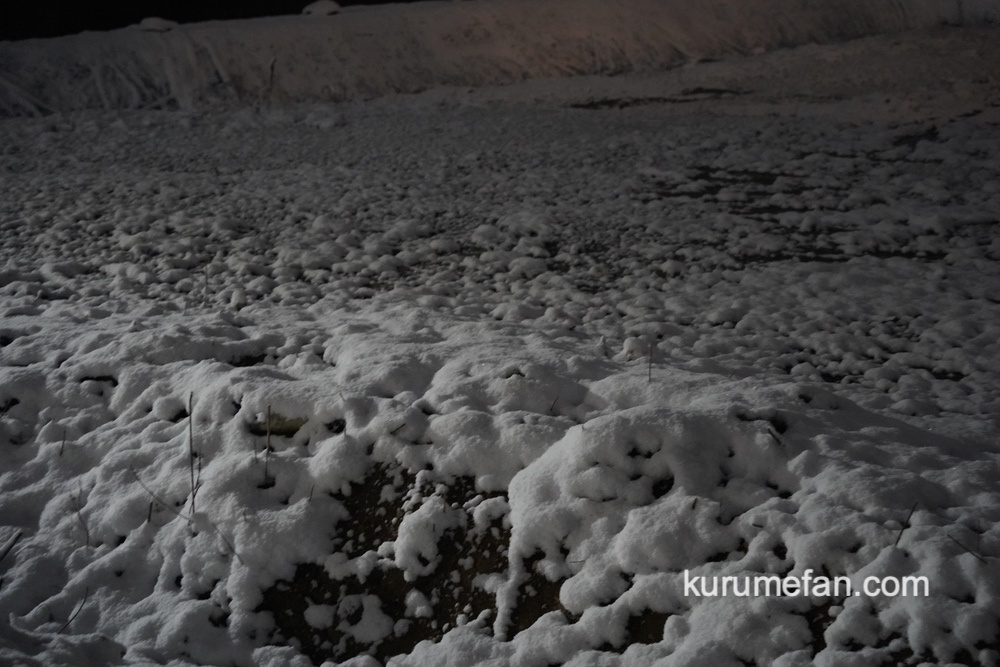 久留米市 雪が積もる 九州道が通行止めなど交通機関に影響も 路面凍結注意【1月24日】