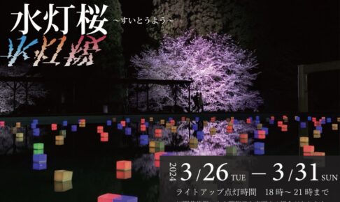 ライトアップあ！さくら～水灯桜～2024 “水”と“桜”が織り成す幻想的な景色